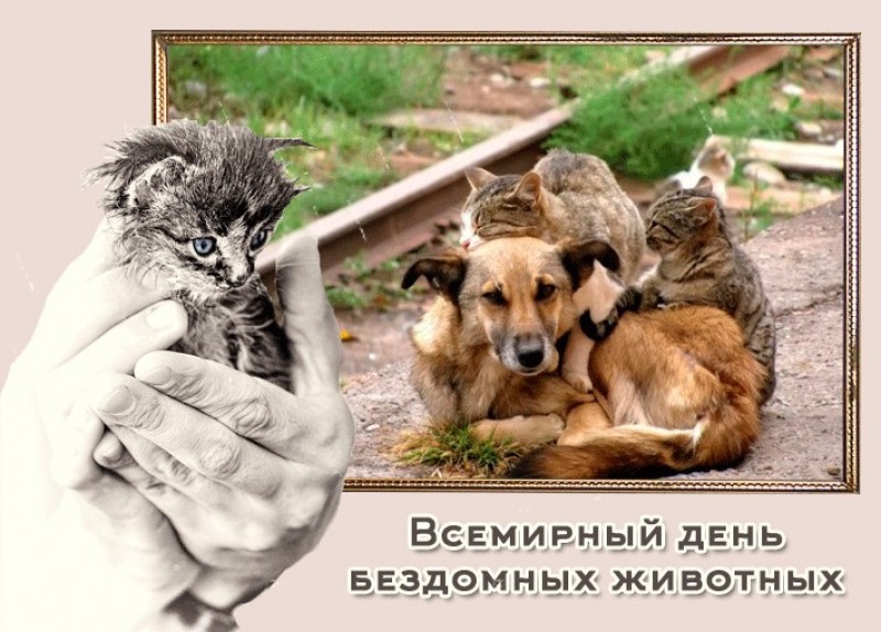 Преданных Друзей Поздравление